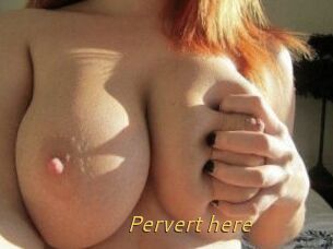 Pervert_here