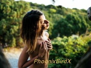 PhoenixBirdX