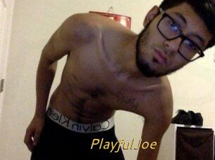 PlayfulJoe