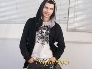 PlayfulNigel