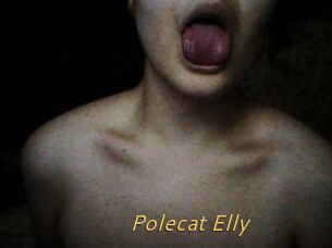 Polecat_Elly