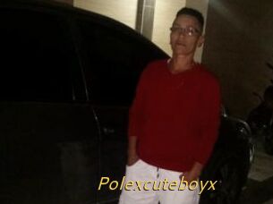 Polexcuteboyx
