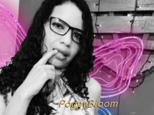PoppyBloom