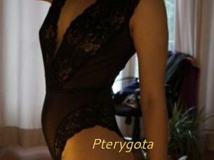 Pterygota