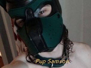 Pup_Samson