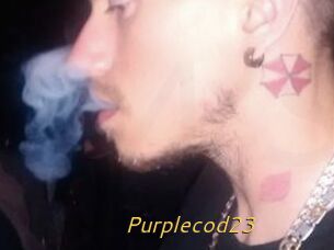 Purplecod23
