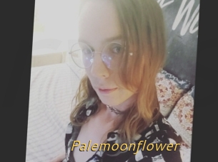 Palemoonflower