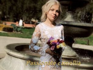 Passionate_camellia