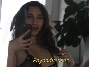 Paynadiavixen