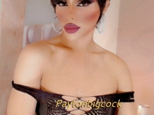 Paytonbigcock