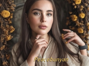 Peacebunyan
