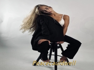 Peacecauldwell