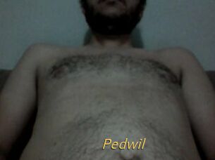 Pedwil