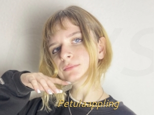 Petulaappling