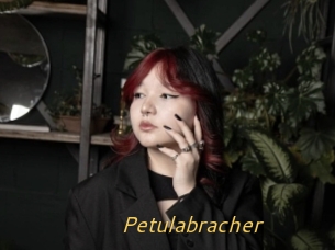Petulabracher