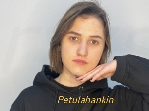 Petulahankin