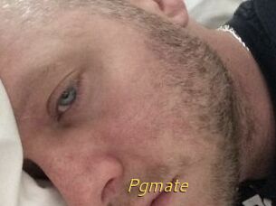 Pgmate