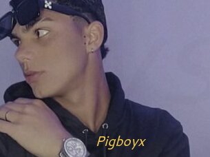 Pigboyx