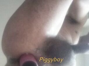 Piggyboy
