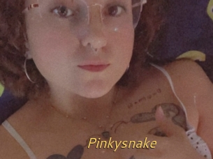 Pinkysnake