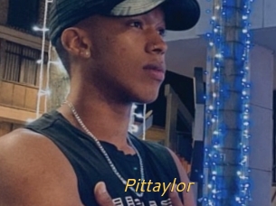 Pittaylor
