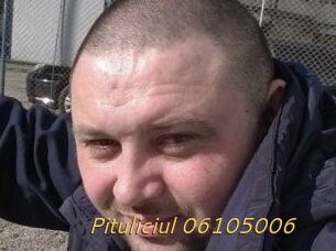Pituliciul-06105006