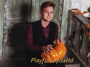 Playfulboydavid
