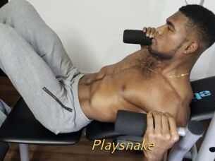 Playsnake