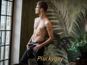 Pluckygay