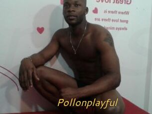 Pollonplayful