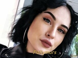 Pollymurs