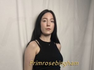 Primrosebingham