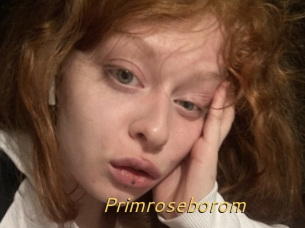 Primroseborom