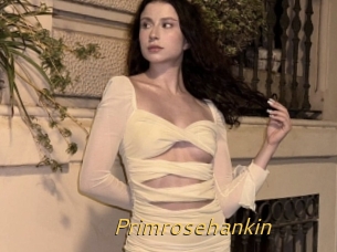 Primrosehankin