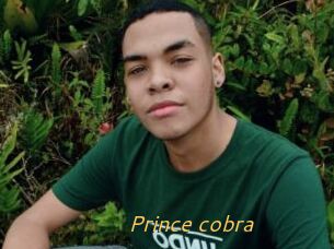 Prince_cobra