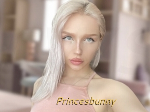 Princesbunny