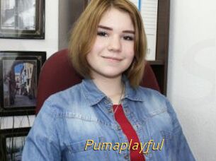 Pumaplayful