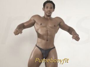 Pumebonyfit
