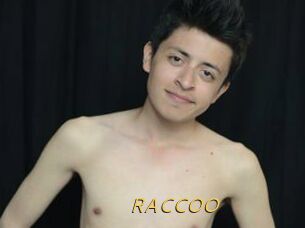 RACCOO