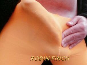 ROBIN_FINCH