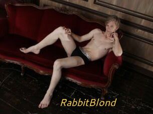 RabbitBlond
