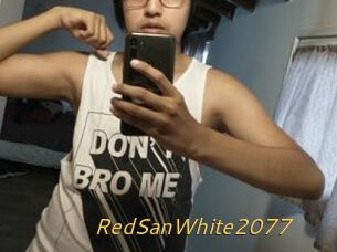 RedSanWhite2077
