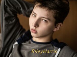 RileyHarris