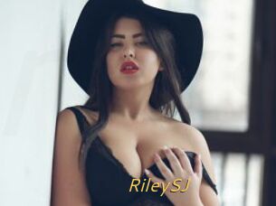 RileySJ