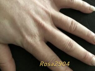 Rosa2904