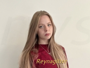 Reynagitter