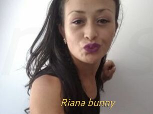 Riana_bunny