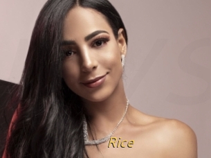 Rice