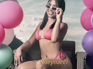 Rileynacci