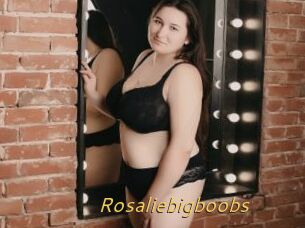 Rosaliebigboobs